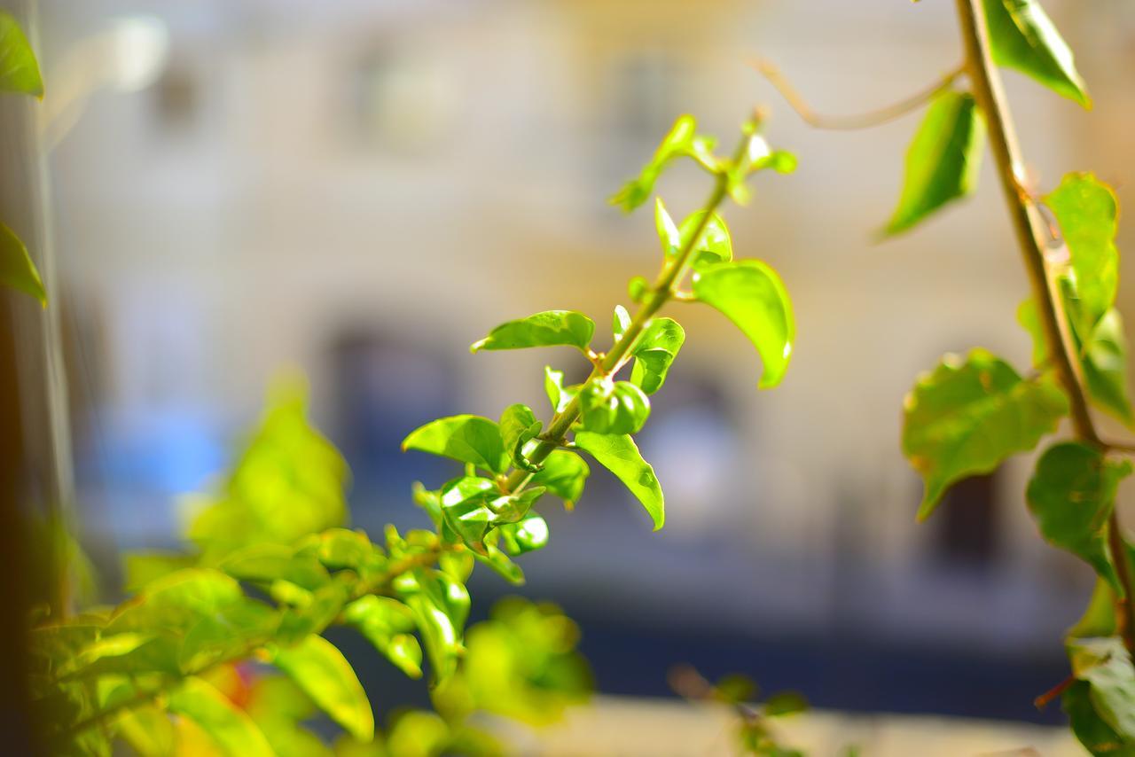 The Burrow Guest House Tarxien Esterno foto
